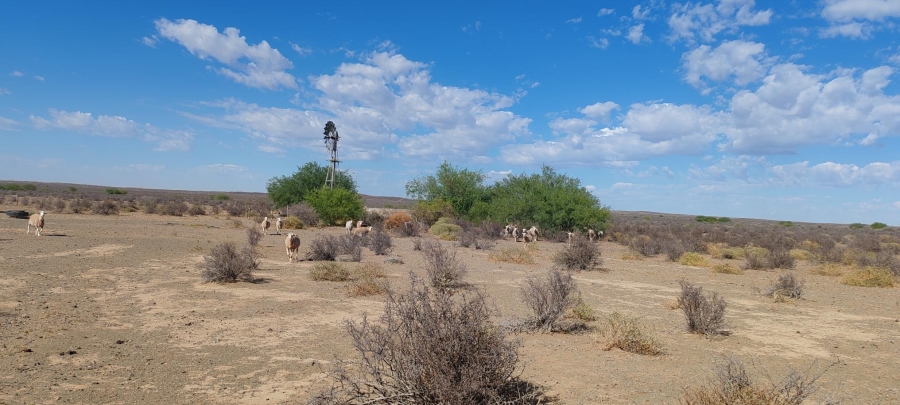 0 Bedroom Property for Sale in Brandvlei Northern Cape